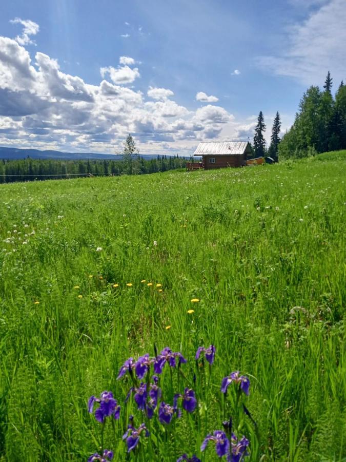 Secluded Log Cabin, 30 Min From Chena Hot Springs Pleasant Valley المظهر الخارجي الصورة