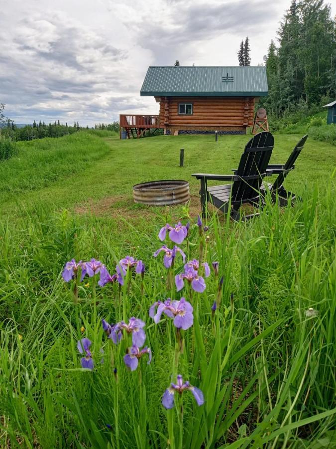 Secluded Log Cabin, 30 Min From Chena Hot Springs Pleasant Valley المظهر الخارجي الصورة